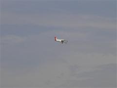 PICT2169.JPG